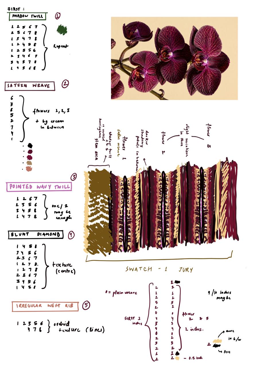 Source photograph of a deep burgundy orchid spray on cream background