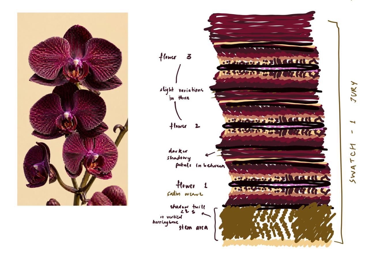 Hand-drawn translation of the orchid into a striped weave plan with annotations